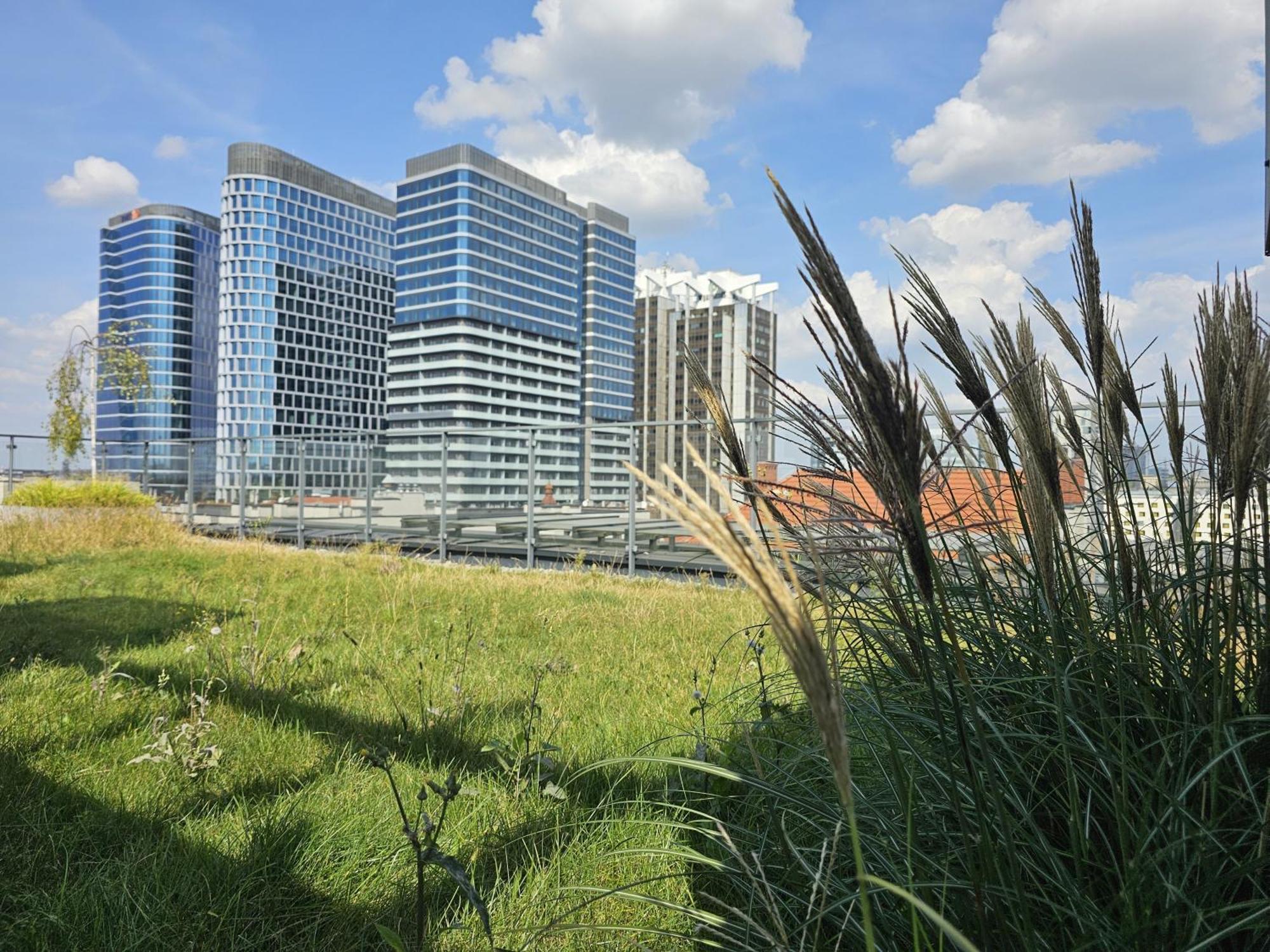 Urban Apartments Premium, Opolska 10 No 90, 2 Free Garages, Self Check-In Katowice Eksteriør bilde